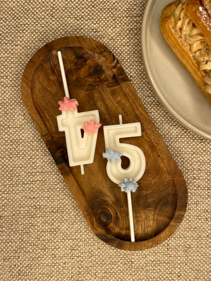 Bougie anniversaire chiffre DINOSAURE